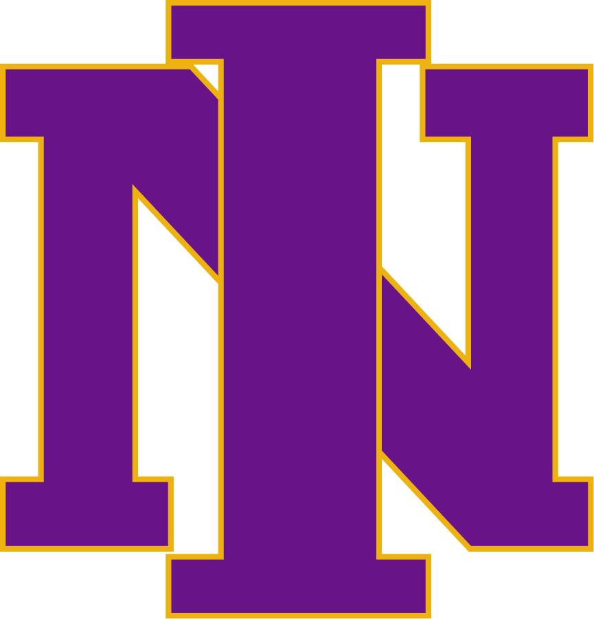 Northern Iowa Panthers 2000-2001 Primary Logo diy iron on heat transfer